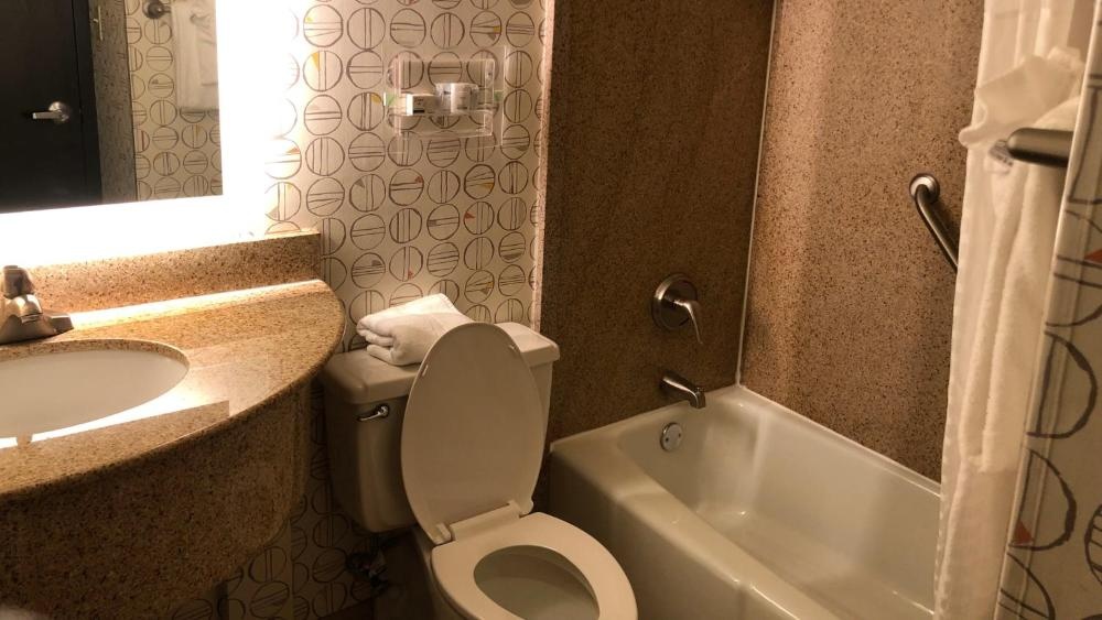 Holiday Inn Asheville East-Blue Ridge Pkwy by IHG Image 28
