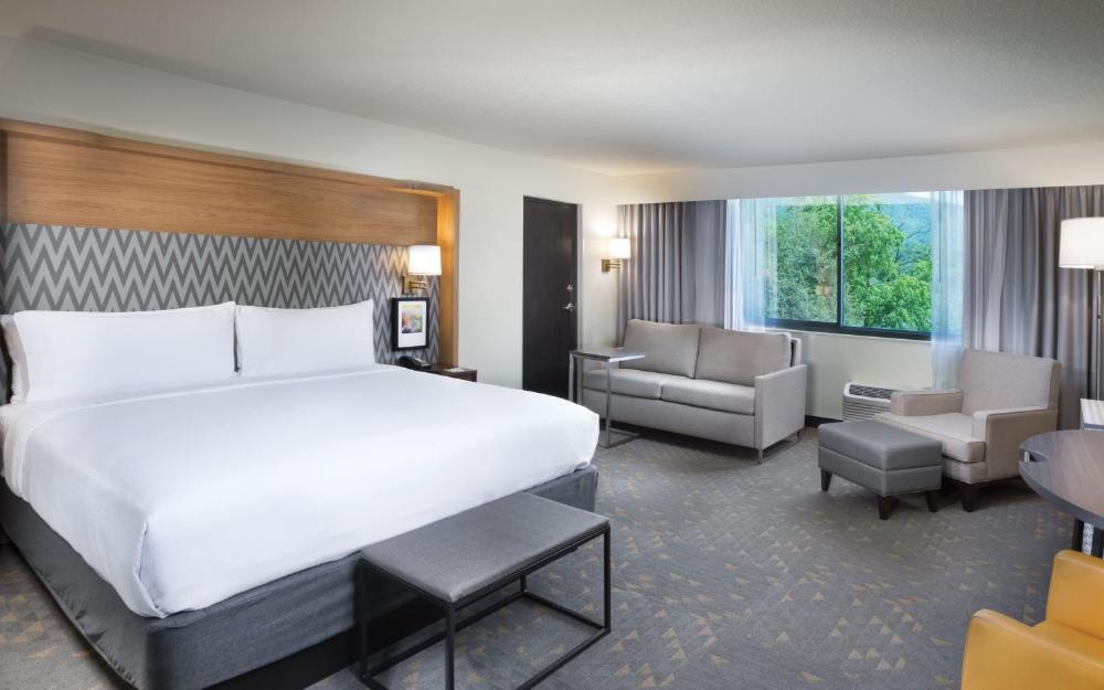 Holiday Inn Asheville East-Blue Ridge Pkwy by IHG Image 52