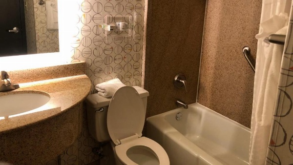Holiday Inn Asheville East-Blue Ridge Pkwy by IHG image 28