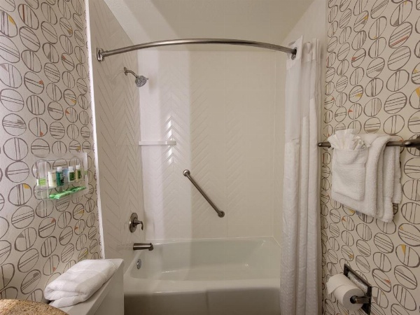 Holiday Inn Asheville East-Blue Ridge Pkwy by IHG image 42