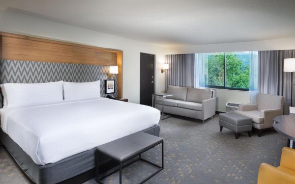 Holiday Inn Asheville East-Blue Ridge Pkwy by IHG image 52
