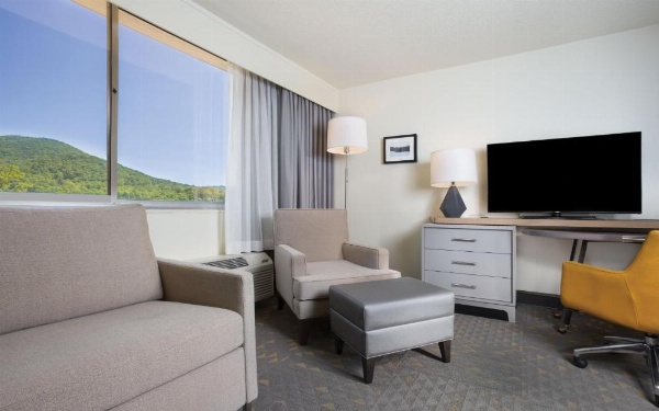 Holiday Inn Asheville East-Blue Ridge Pkwy by IHG image 53