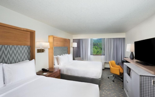 Holiday Inn Asheville East-Blue Ridge Pkwy by IHG image 7